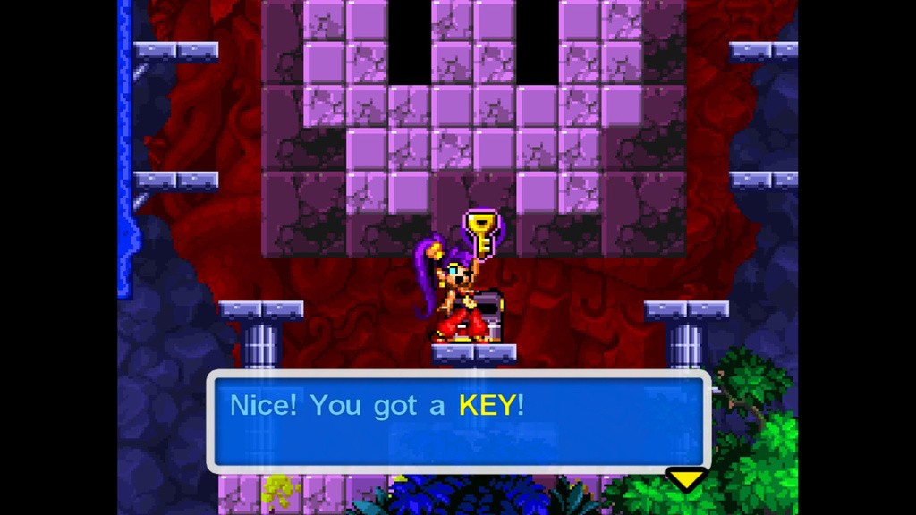 Shantae: Risky´s Revenge - Director´s Cut